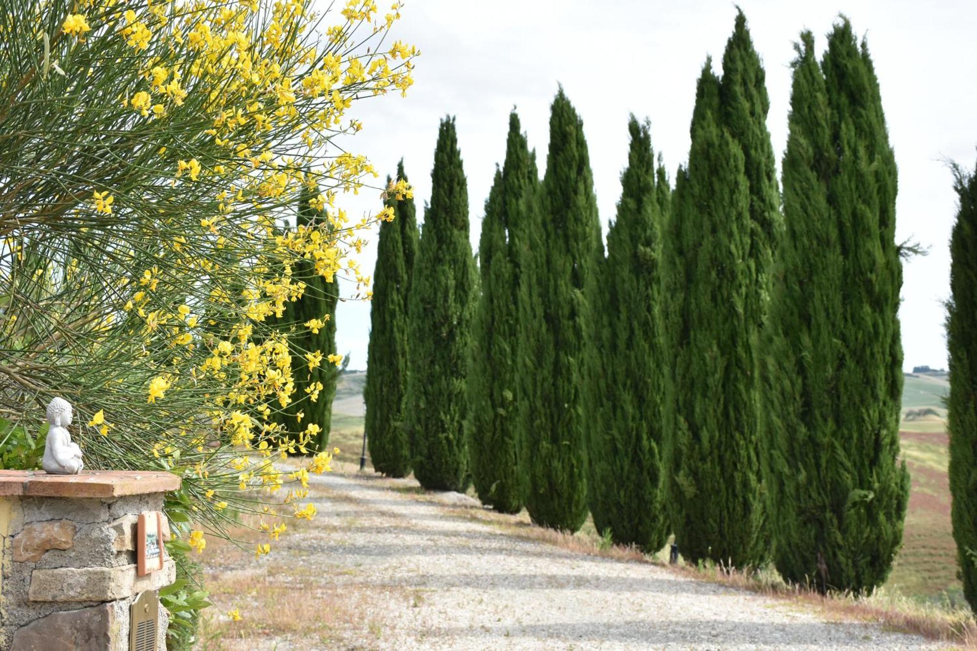 Podere Le Volpaie, Volterra, Tuscany Montecatini Val di Cecina Exterior foto
